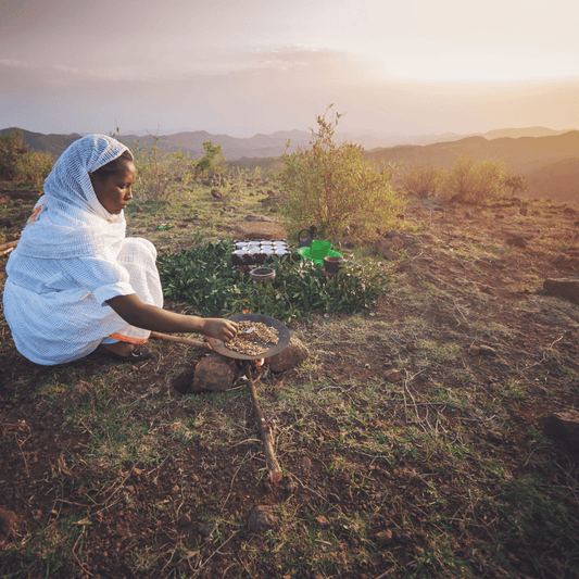 El Origen del Café: Un Viaje por los Mejores Terruños del Mundo